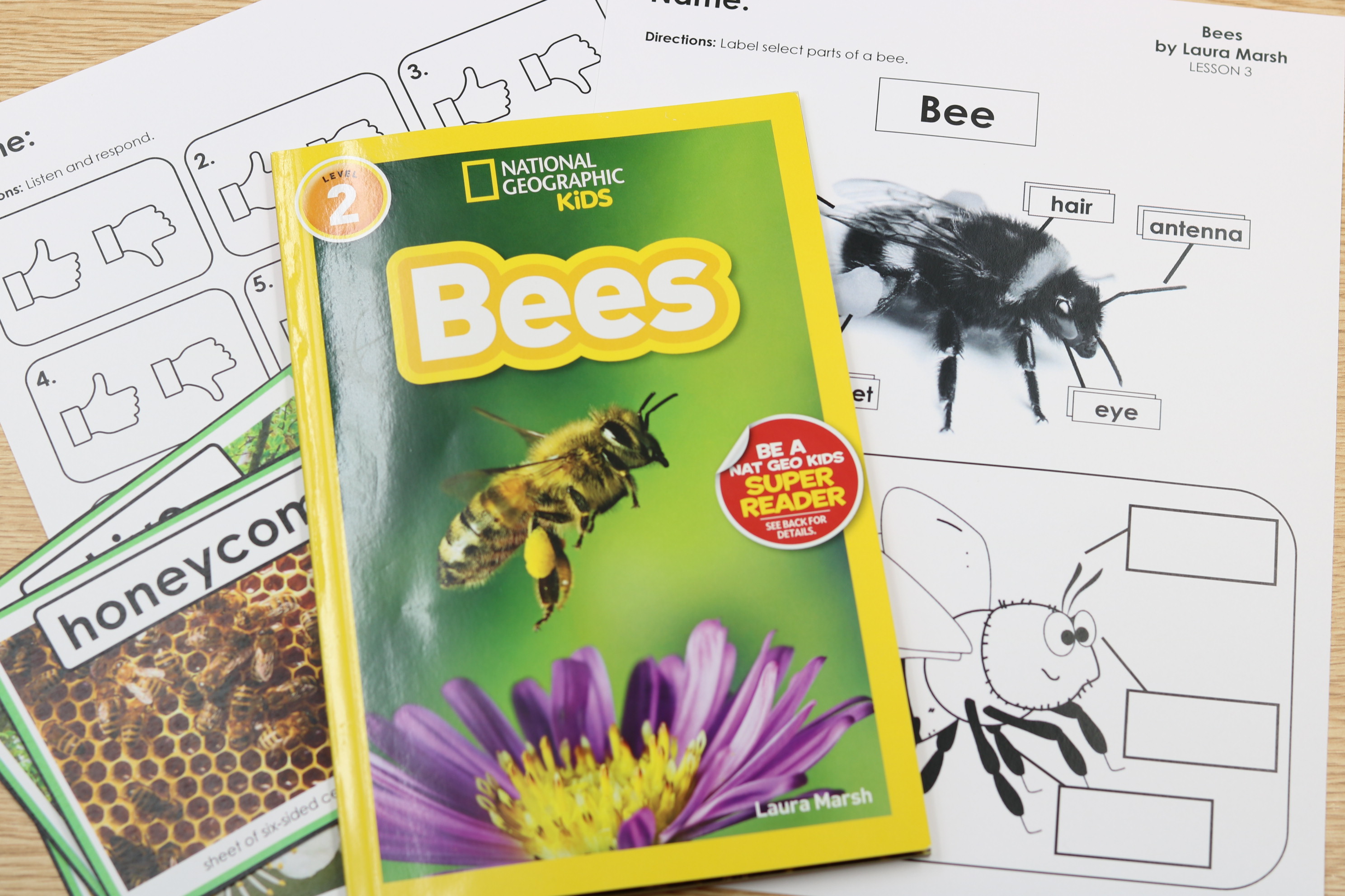Free Bees Knowledge In-a-Click digital slides for vocabulary and comprehension