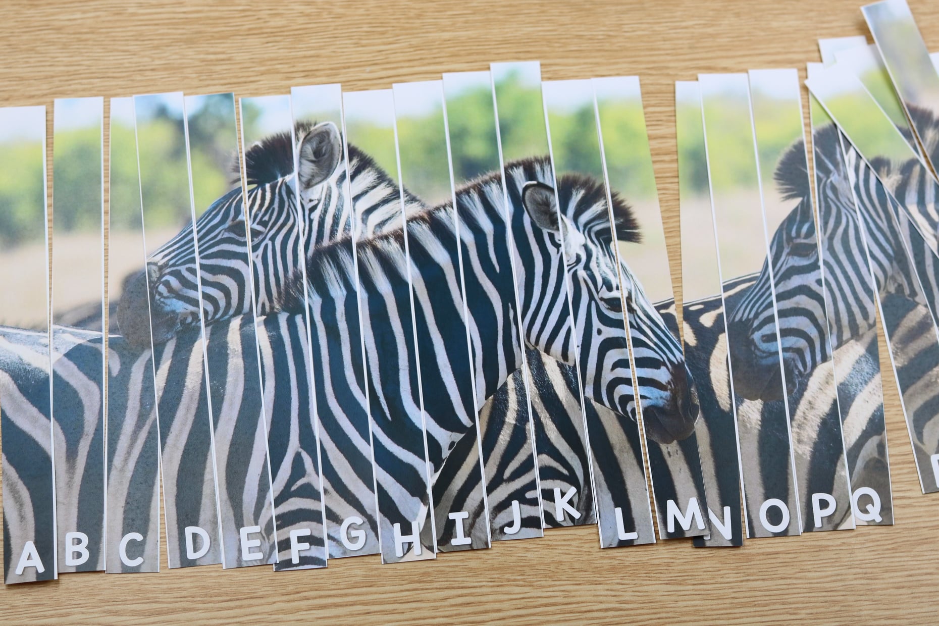 Alphabet puzzles with real-life images for matching uppercase and lowercase letters.