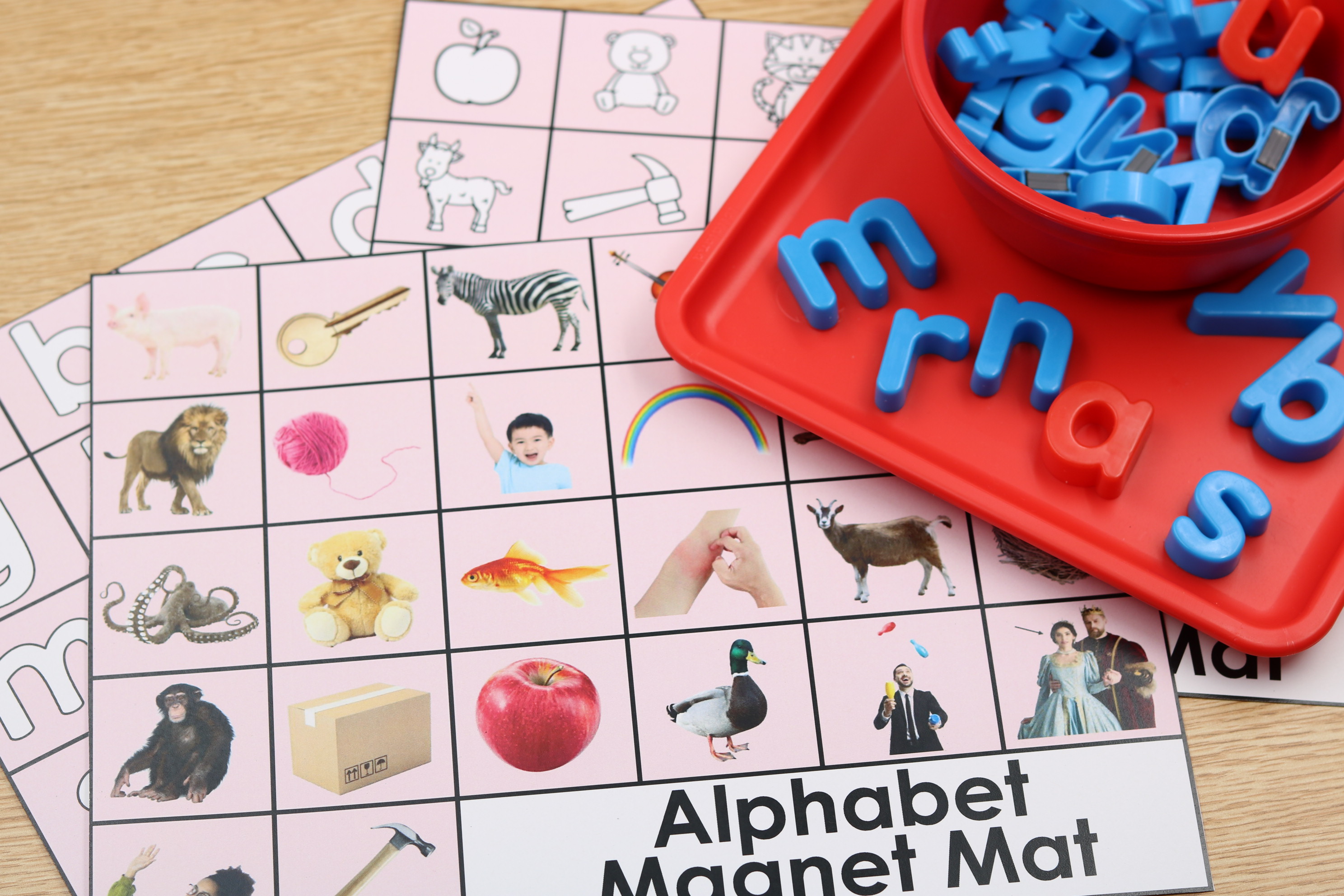 Student placing magnetic letter on matching image