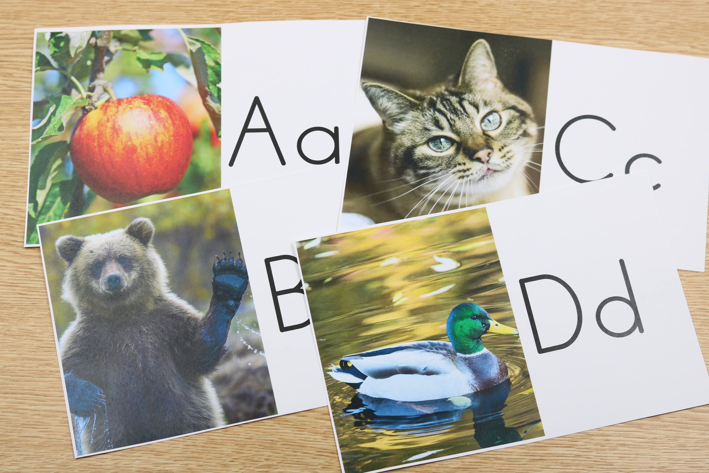 Realistic alphabet letter strip featuring capital and lowercase letters with vibrant photos.