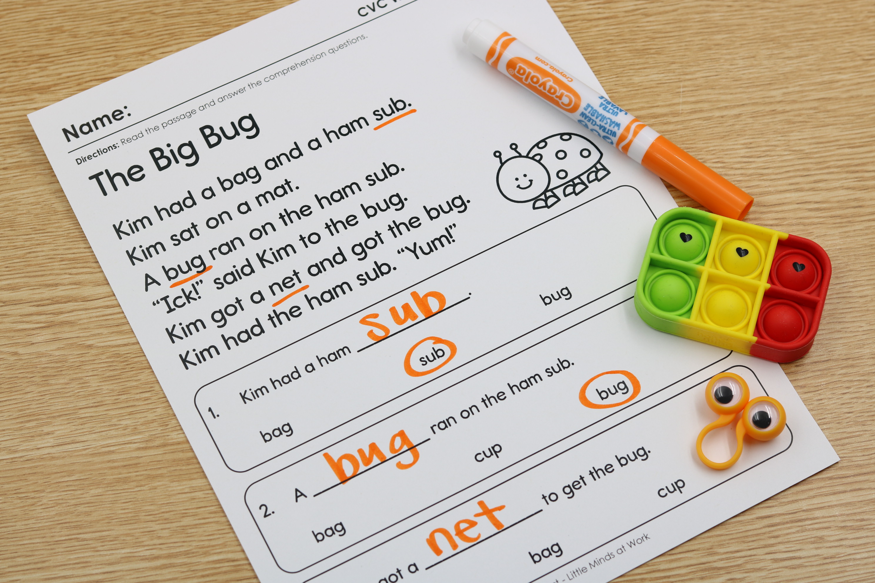 Free CVC phonics fluency passage with decodable questions