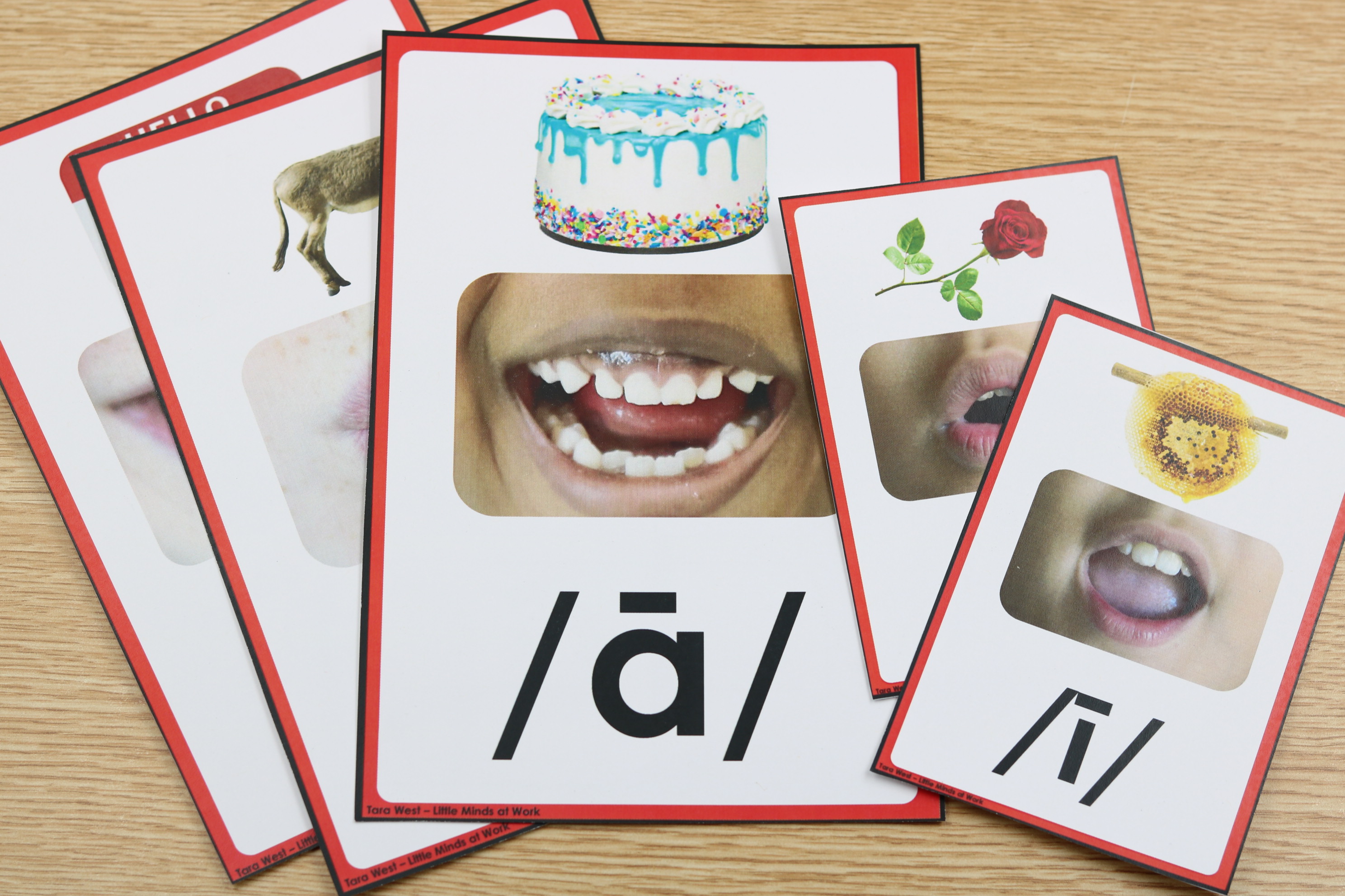 CVCE mouth articulation cards for phonics practice